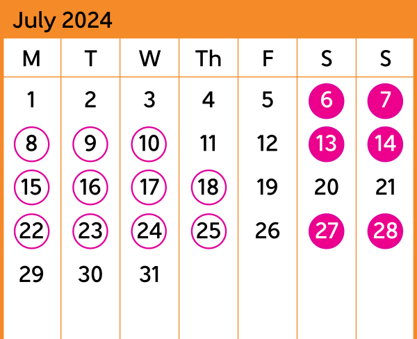 Hutt Valley Bus Replacement Calendar July
