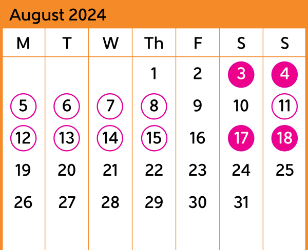 Hutt Valley Bus Replacement Calendar August