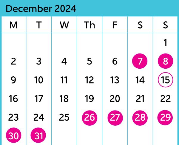 Johnsonville December Calendar