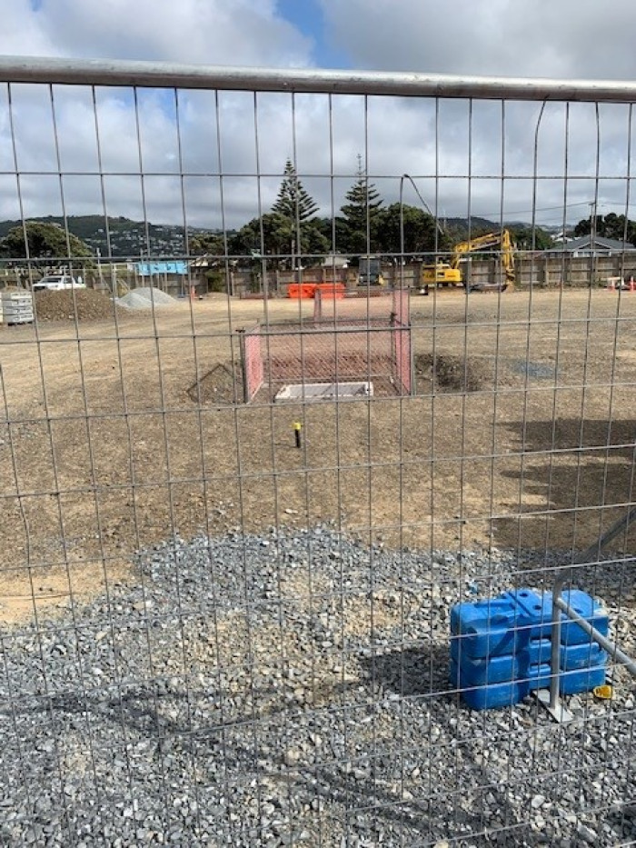 kauri Street october 2025