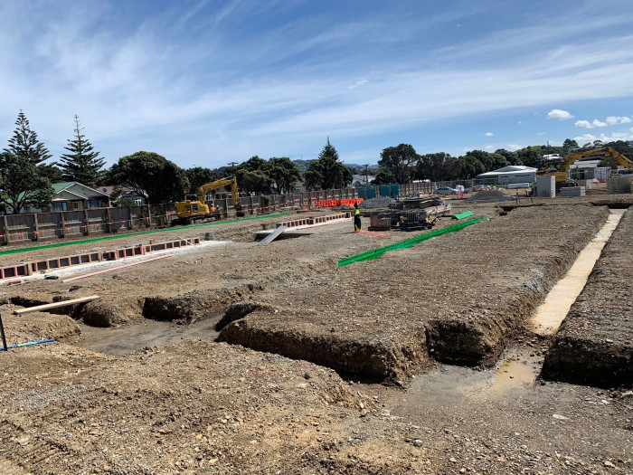 kauri Street october 2025